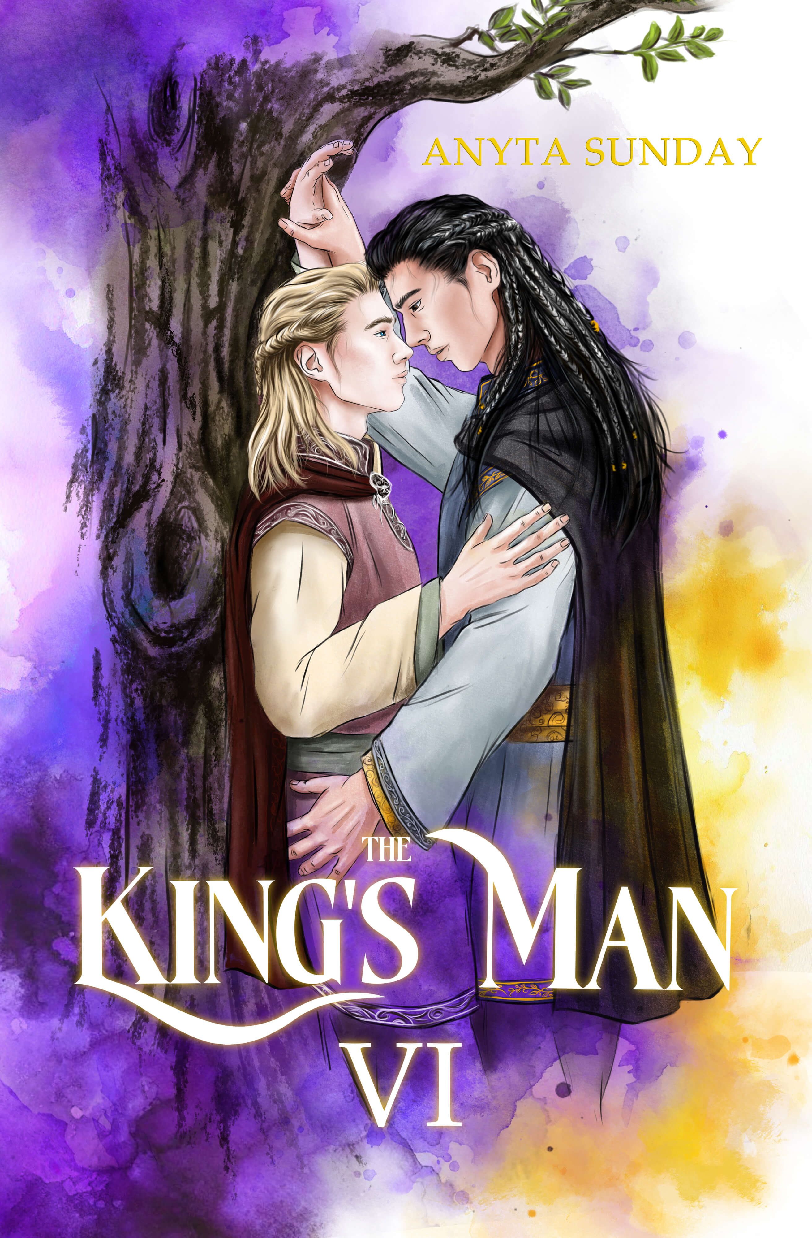 The Kings Man Book 6 - Epic Queer Romantasy by Anyta Sunday